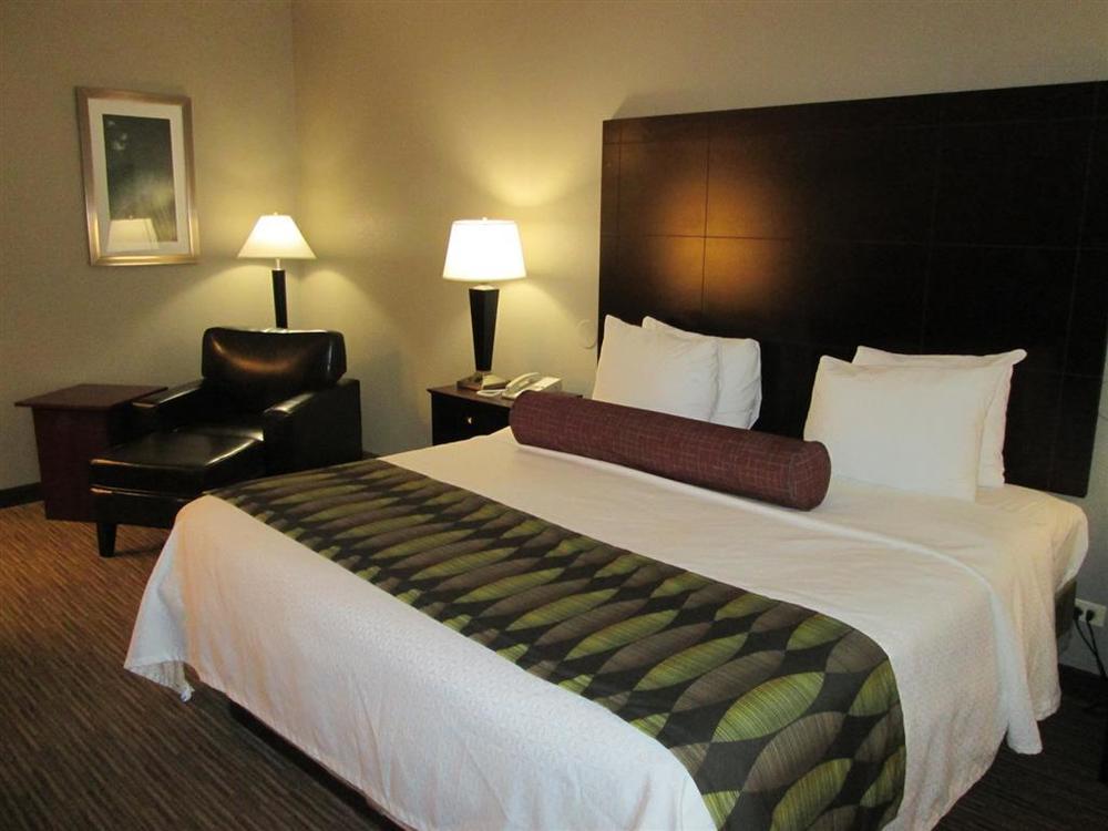 Best Western Plus O'Hare International South Hotel Franklin Park Pokoj fotografie